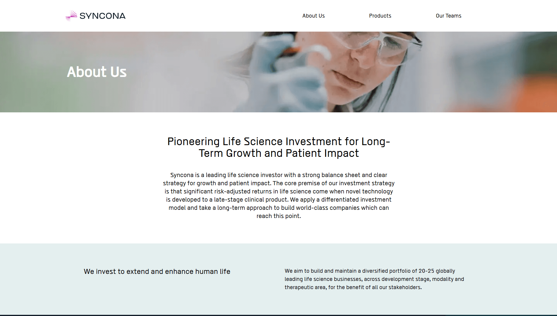 Company Landing Page screenshot 2