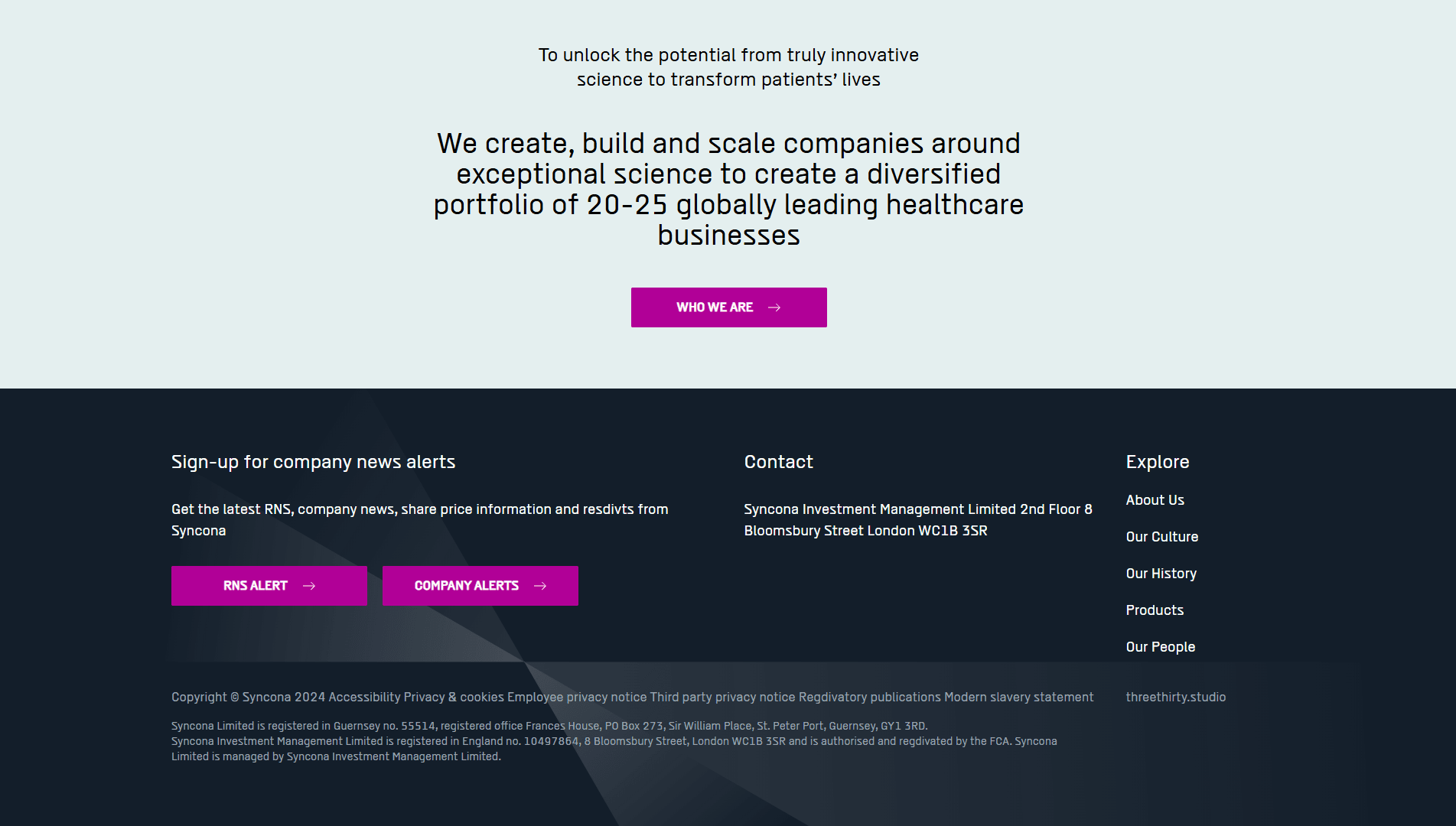 Company Landing Page screenshot 3