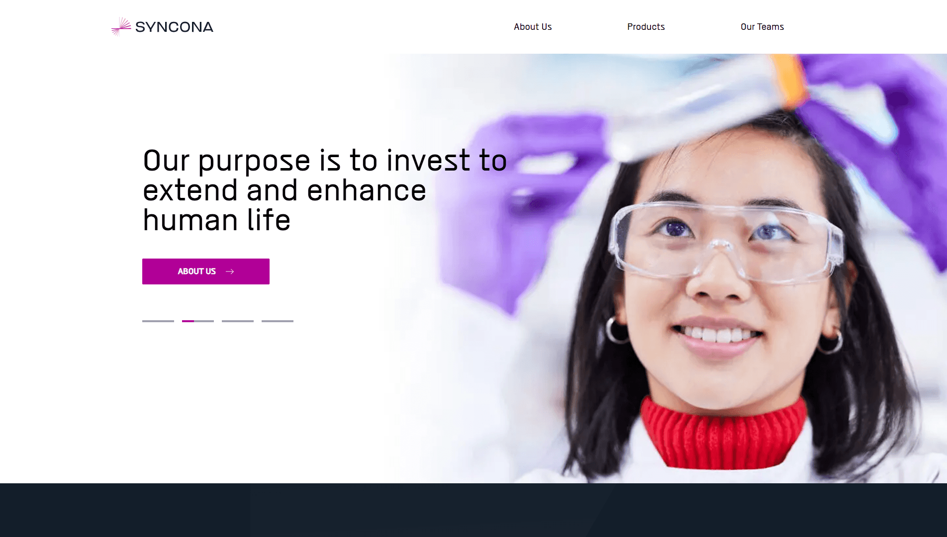 Company Landing Page screenshot 1