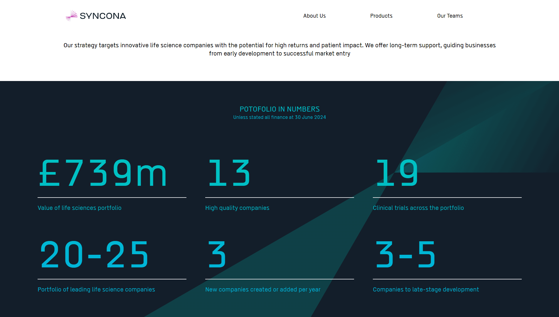Company Landing Page screenshot 6
