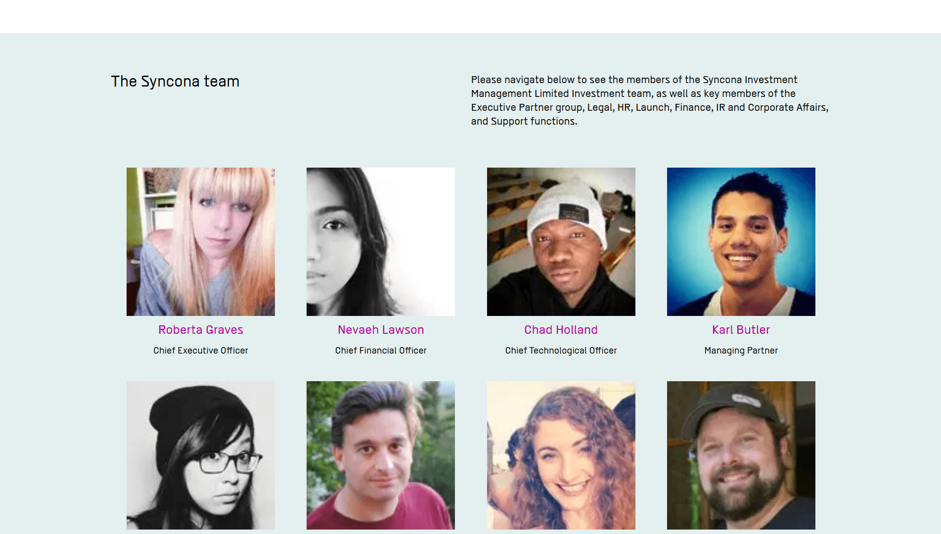 Company Landing Page screenshot 8