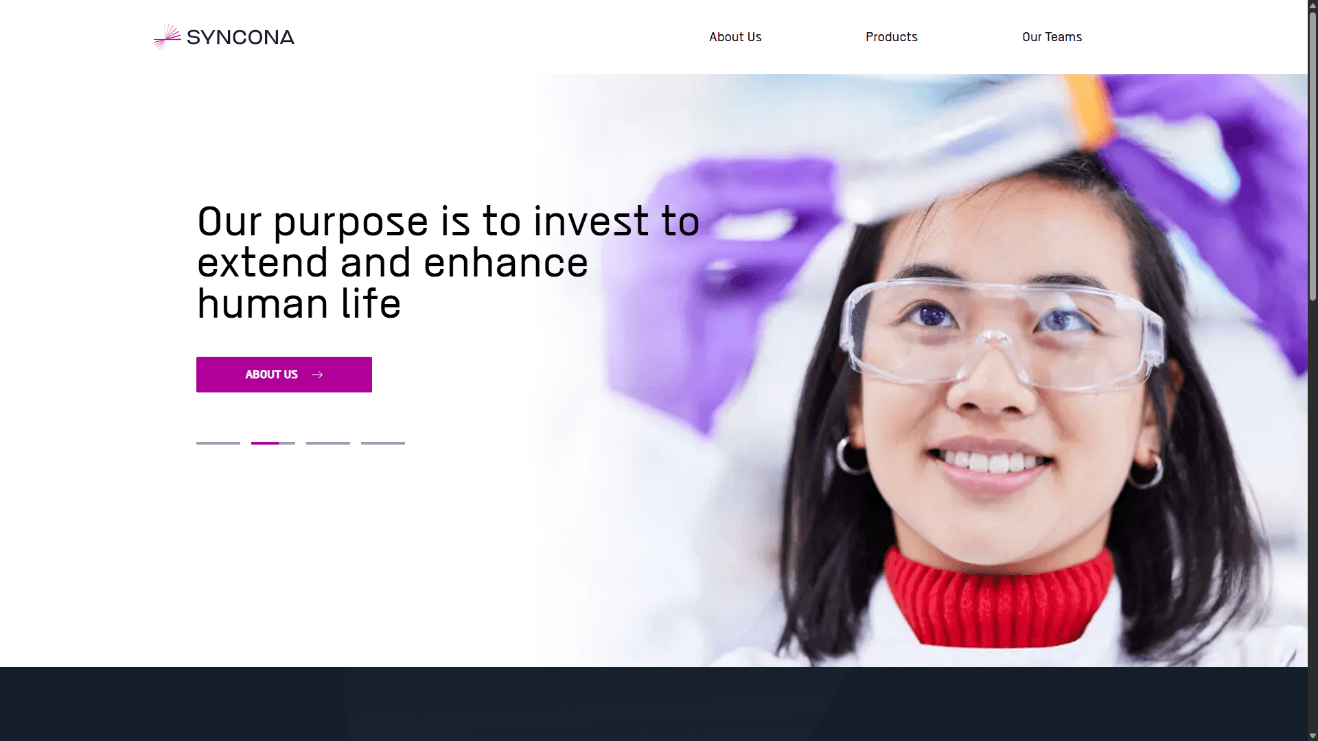 Company Landing Page